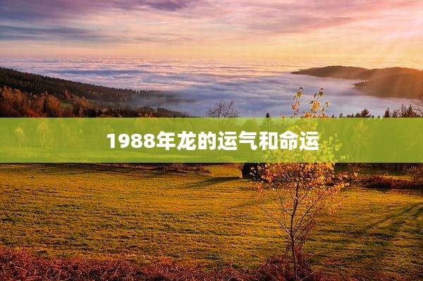 1988年龙的运气和命运