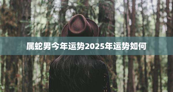 属蛇男今年运势2025年运势如何