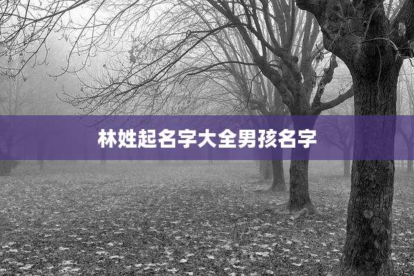 林姓起名字大全男孩名字