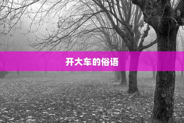开大车的俗语