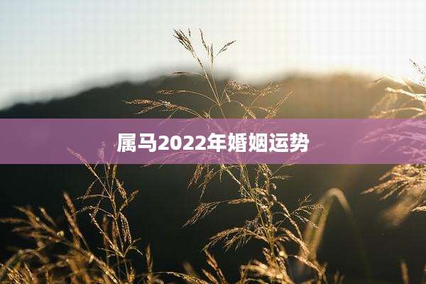 属马2022年婚姻运势