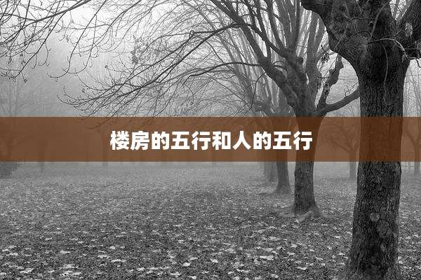 楼房的五行和人的五行