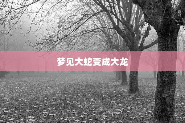 梦见大蛇变成大龙