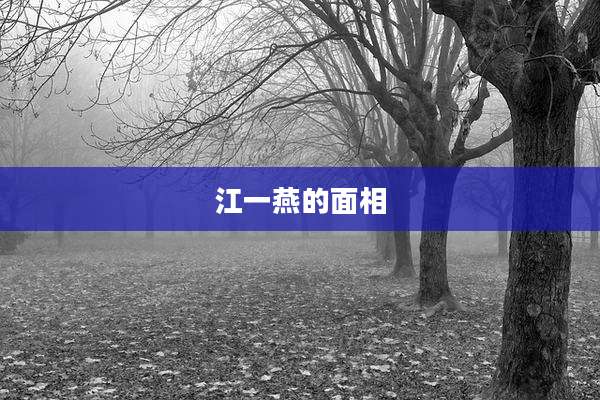 江一燕的面相