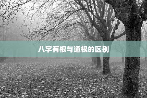 八字有根与通根的区别