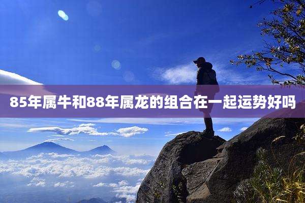 85年属牛和88年属龙的组合在一起运势好吗
