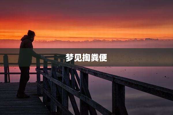 梦见掏粪便