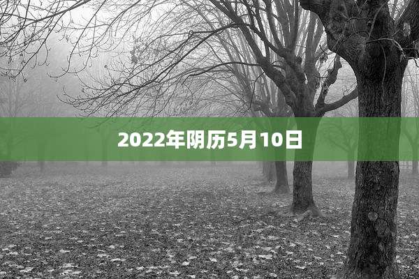 2022年阴历5月10日