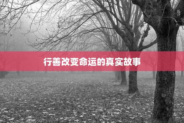 行善改变命运的真实故事