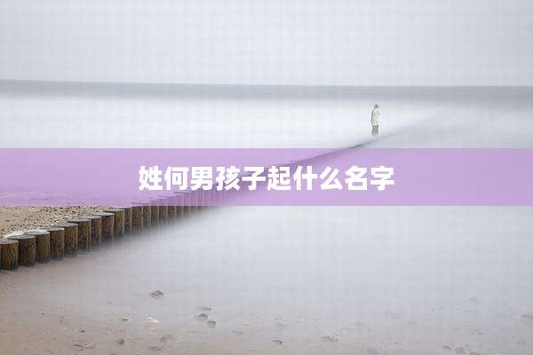 姓何男孩子起什么名字