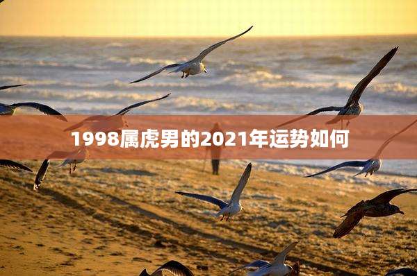 1998属虎男的2021年运势如何