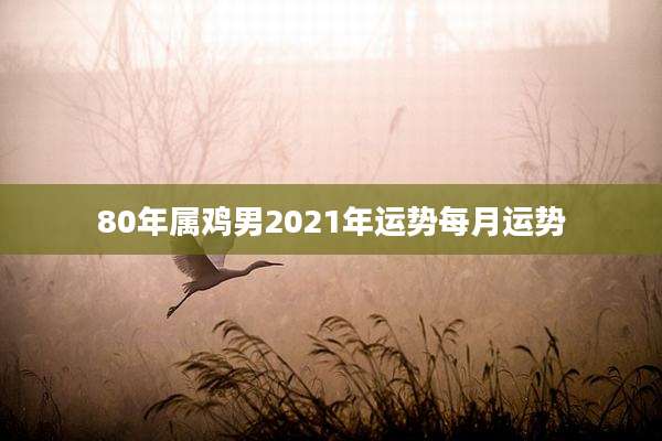 80年属鸡男2021年运势每月运势