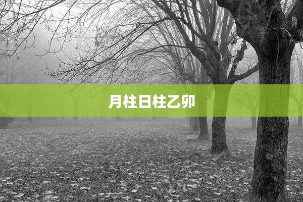 月柱日柱乙卯