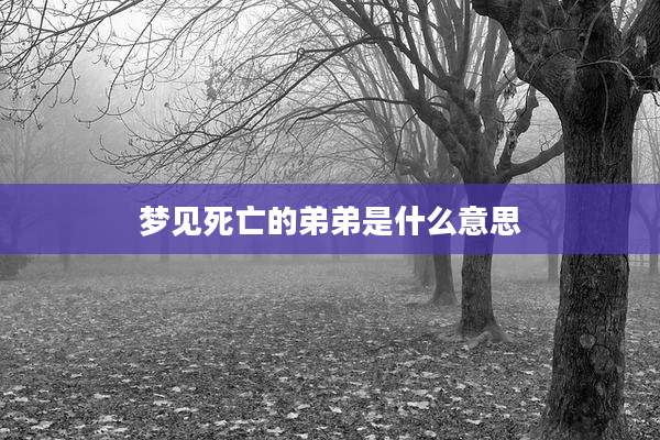 梦见死亡的弟弟是什么意思