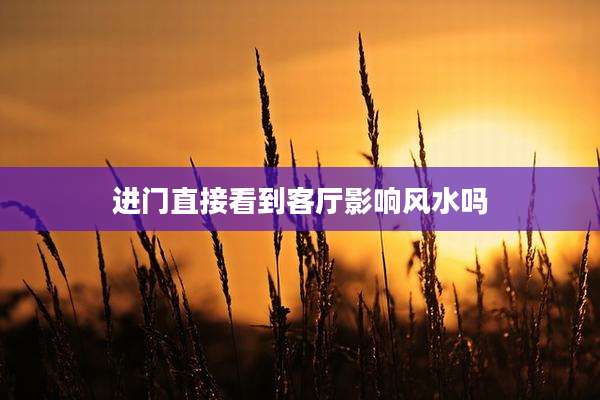 进门直接看到客厅影响风水吗