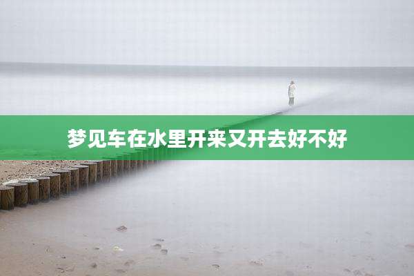 梦见车在水里开来又开去好不好