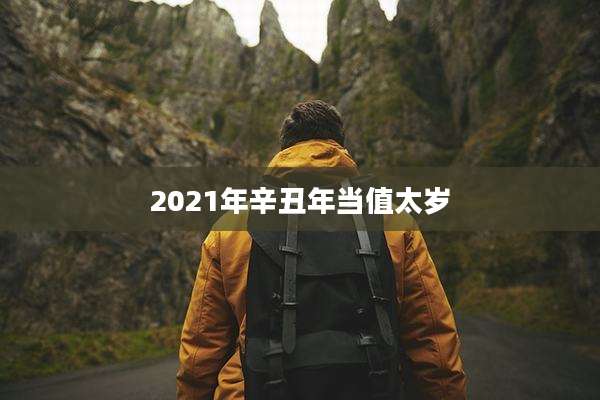 2021年辛丑年当值太岁