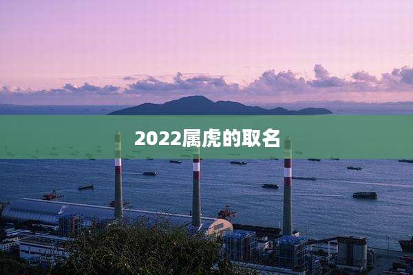 2022属虎的取名