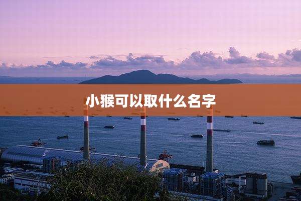 小猴可以取什么名字