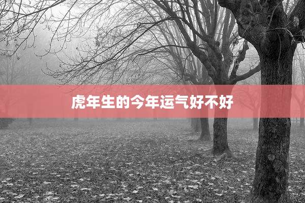 虎年生的今年运气好不好