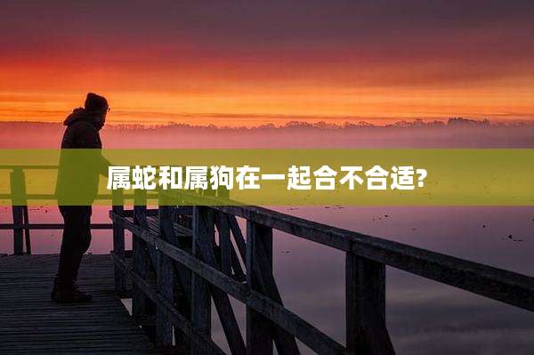 属蛇和属狗在一起合不合适?
