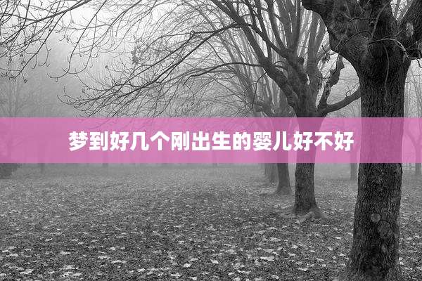 梦到好几个刚出生的婴儿好不好