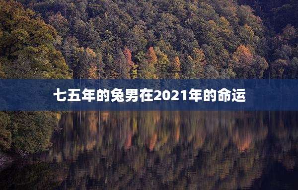 七五年的兔男在2021年的命运