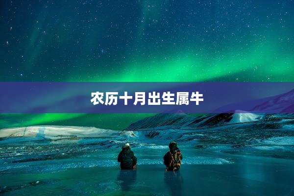 农历十月出生属牛