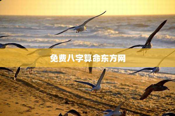免费八字算命东方网