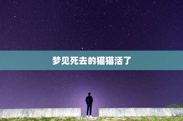 梦见死去的猫猫活了