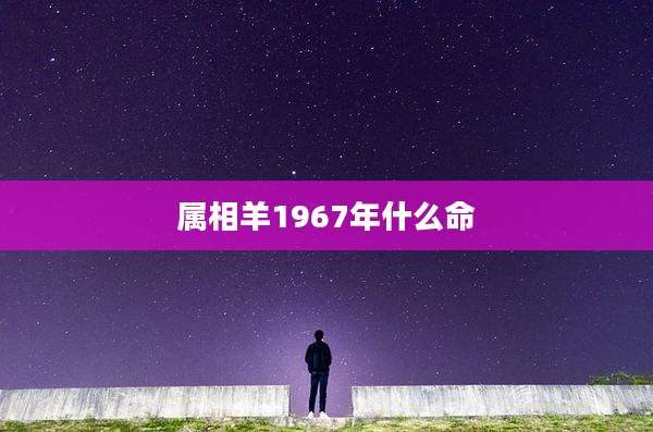 属相羊1967年什么命