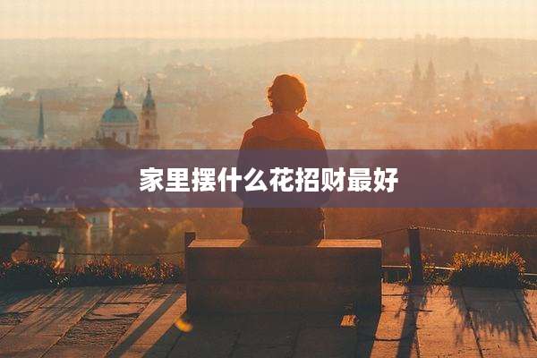 家里摆什么花招财最好