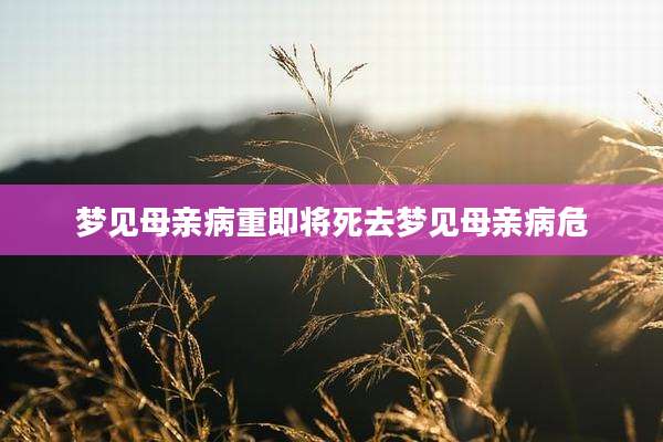 梦见母亲病重即将死去梦见母亲病危