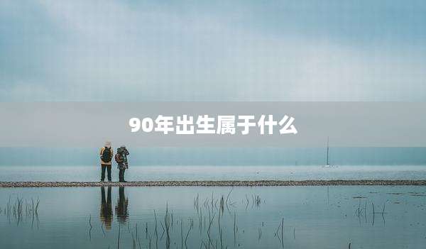 90年出生属于什么