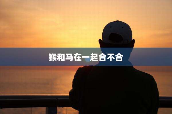 猴和马在一起合不合