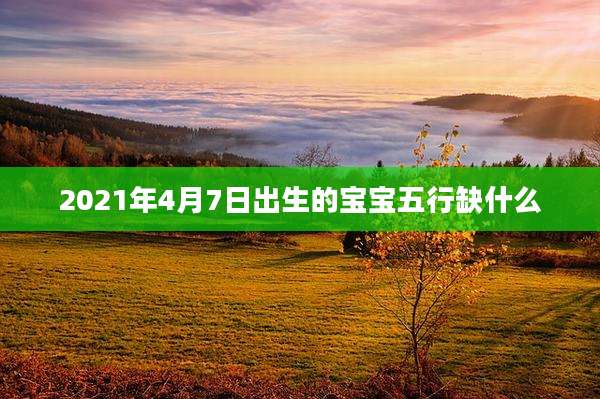 2021年4月7日出生的宝宝五行缺什么