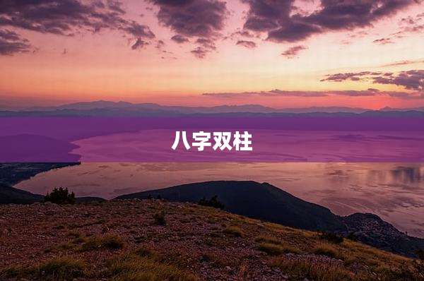 八字双柱