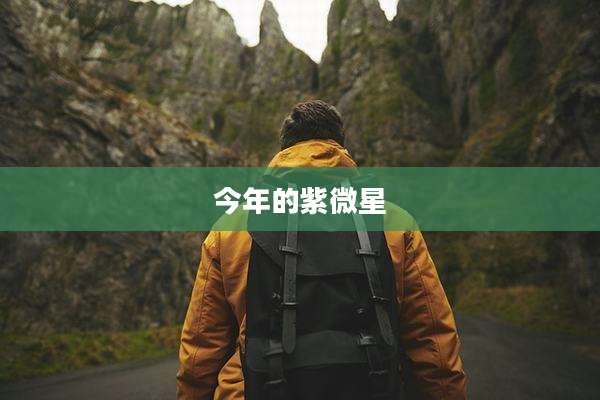 今年的紫微星