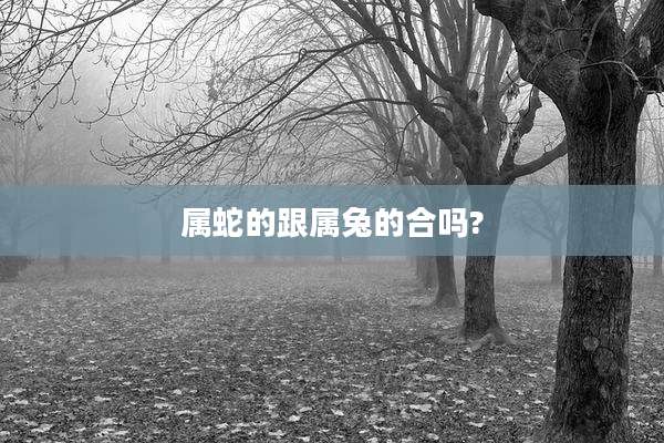 属蛇的跟属兔的合吗?