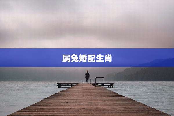 属兔婚配生肖