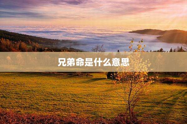 兄弟命是什么意思