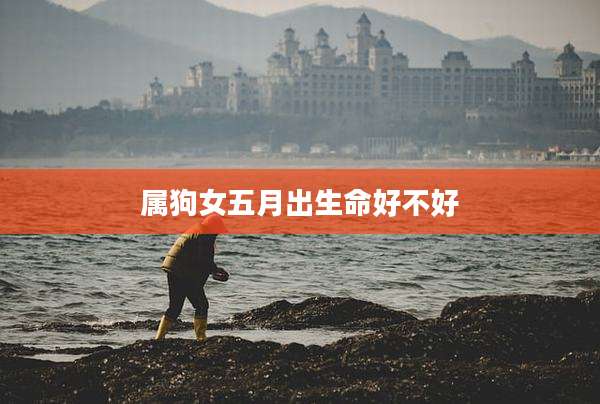 属狗女五月出生命好不好