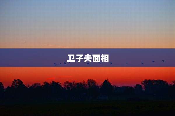 卫子夫面相