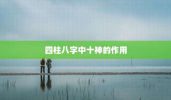 四柱八字中十神的作用