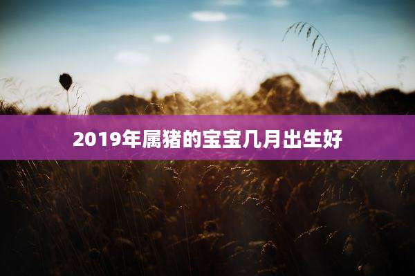 2019年属猪的宝宝几月出生好