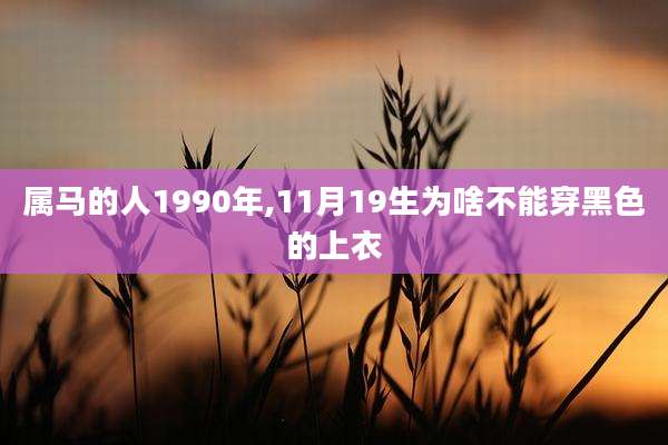 属马的人1990年,11月19生为啥不能穿黑色的上衣