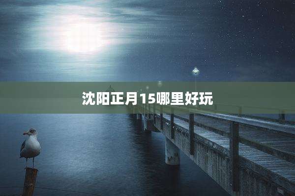 沈阳正月15哪里好玩