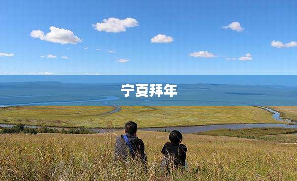 宁夏拜年