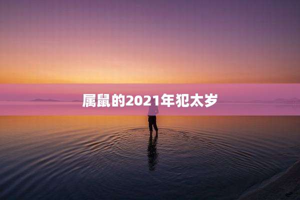 属鼠的2021年犯太岁