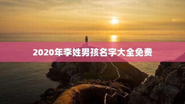 2020年李姓男孩名字大全免费